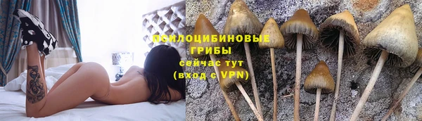трава Абдулино