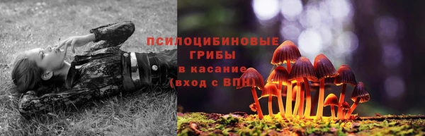 скорость Абаза